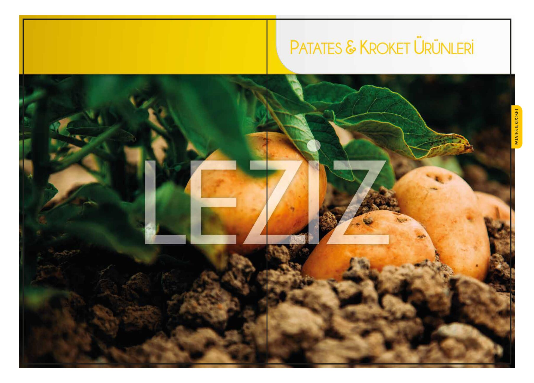 sf_perakende_katalogu_2017-17