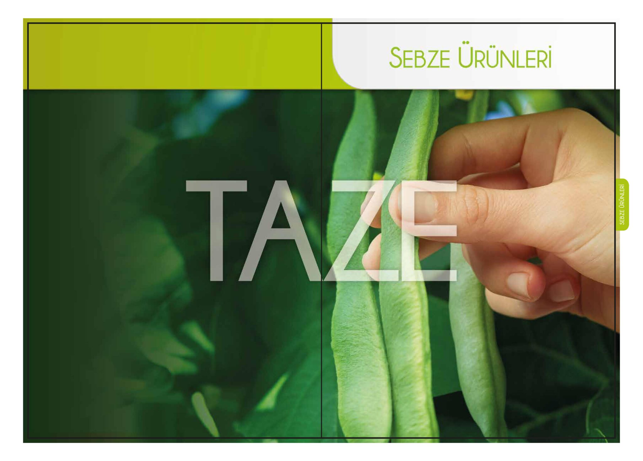 sf_perakende_katalogu_2017-21