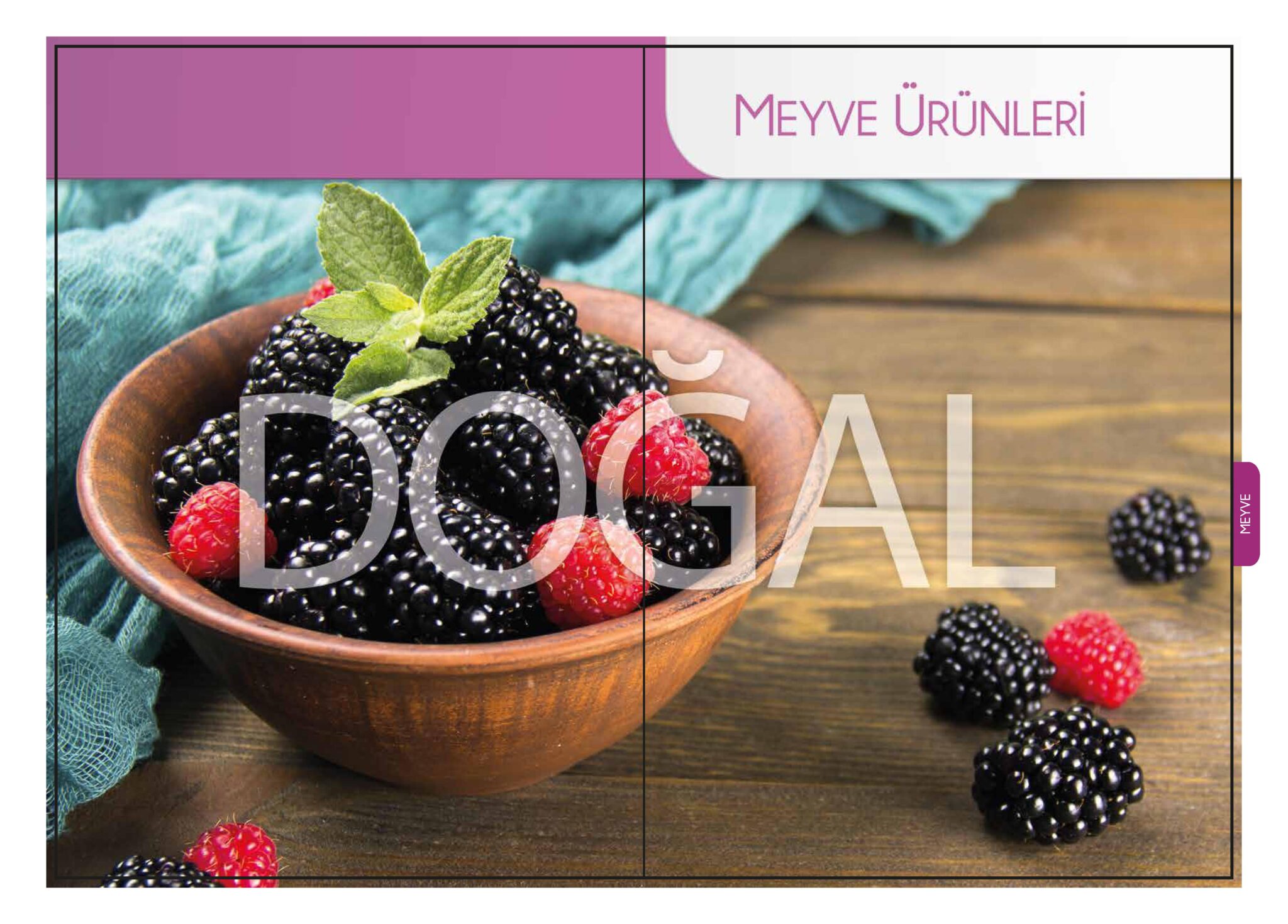 sf_perakende_katalogu_2017-24