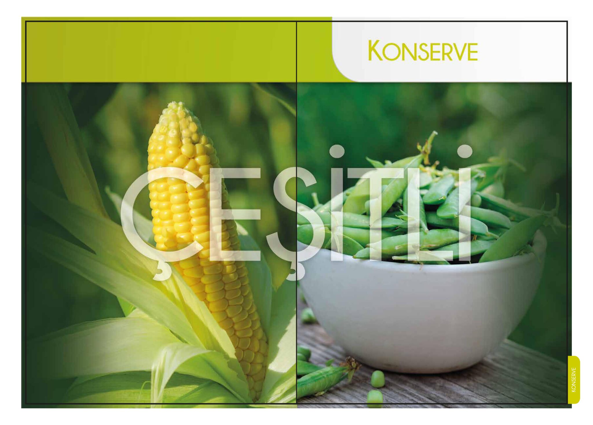 sf_perakende_katalogu_2017-32